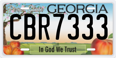 GA license plate CBR7333