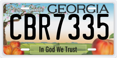 GA license plate CBR7335