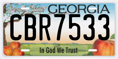 GA license plate CBR7533