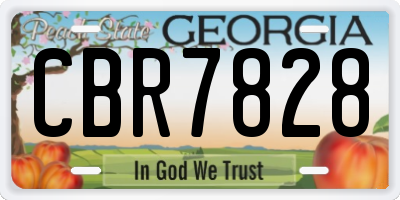 GA license plate CBR7828