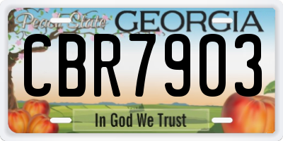 GA license plate CBR7903