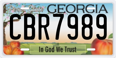 GA license plate CBR7989