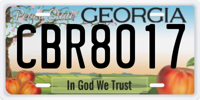 GA license plate CBR8017