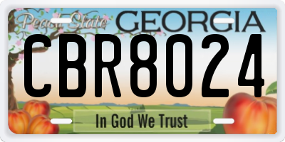 GA license plate CBR8024