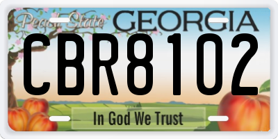 GA license plate CBR8102