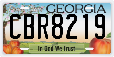 GA license plate CBR8219