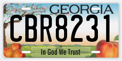 GA license plate CBR8231