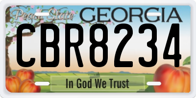 GA license plate CBR8234