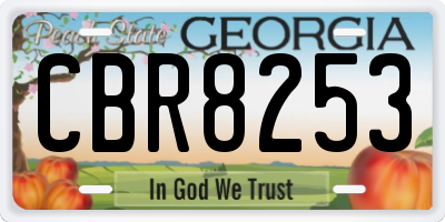 GA license plate CBR8253