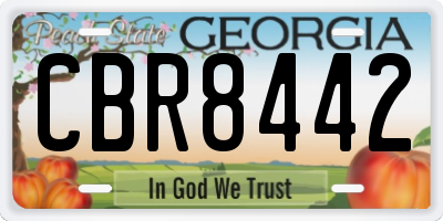 GA license plate CBR8442