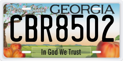 GA license plate CBR8502
