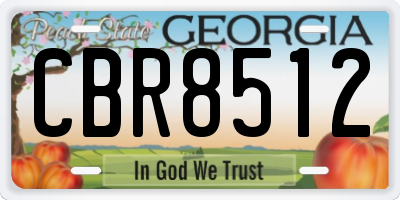 GA license plate CBR8512