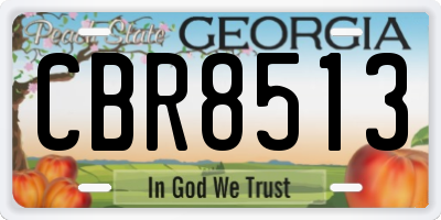 GA license plate CBR8513