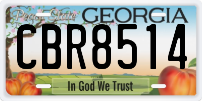 GA license plate CBR8514
