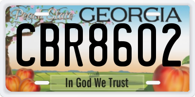 GA license plate CBR8602