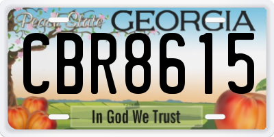 GA license plate CBR8615