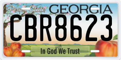 GA license plate CBR8623