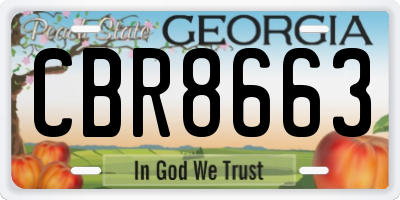 GA license plate CBR8663