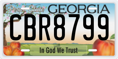 GA license plate CBR8799