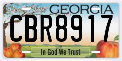 GA license plate CBR8917