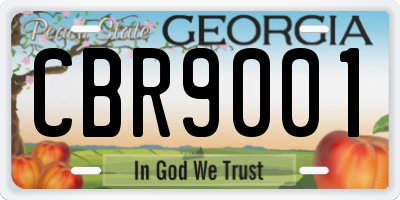 GA license plate CBR9001