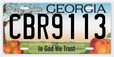 GA license plate CBR9113