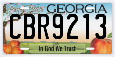 GA license plate CBR9213