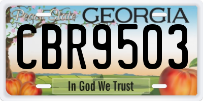 GA license plate CBR9503