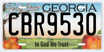 GA license plate CBR9530
