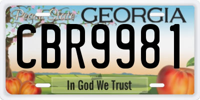 GA license plate CBR9981