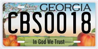 GA license plate CBS0018
