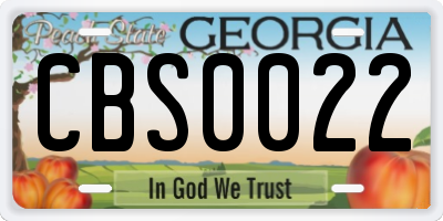 GA license plate CBS0022