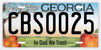 GA license plate CBS0025