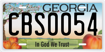 GA license plate CBS0054