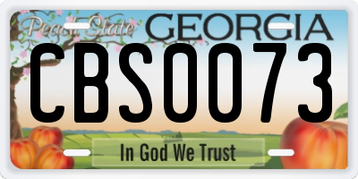 GA license plate CBS0073