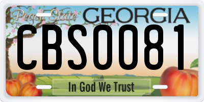 GA license plate CBS0081