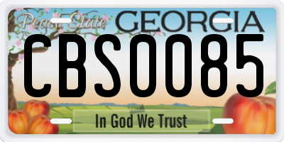 GA license plate CBS0085