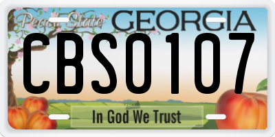 GA license plate CBS0107