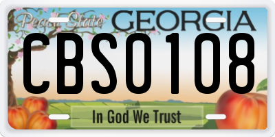 GA license plate CBS0108