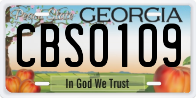 GA license plate CBS0109