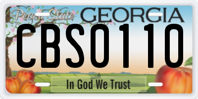 GA license plate CBS0110