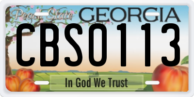 GA license plate CBS0113