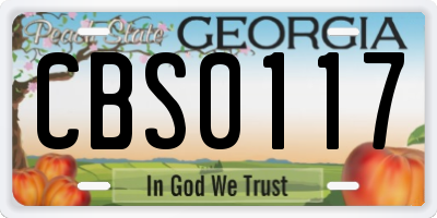 GA license plate CBS0117