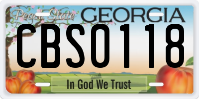GA license plate CBS0118