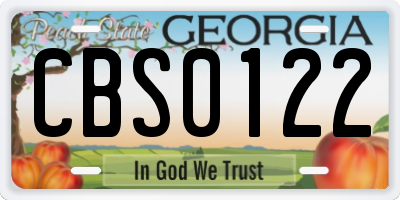 GA license plate CBS0122