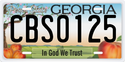 GA license plate CBS0125