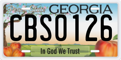 GA license plate CBS0126
