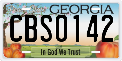 GA license plate CBS0142