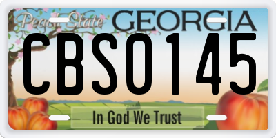 GA license plate CBS0145