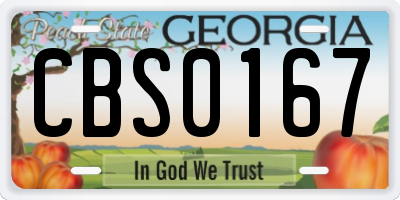 GA license plate CBS0167